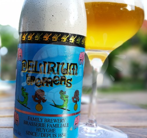 Delirium Tremens 0,33 BEL