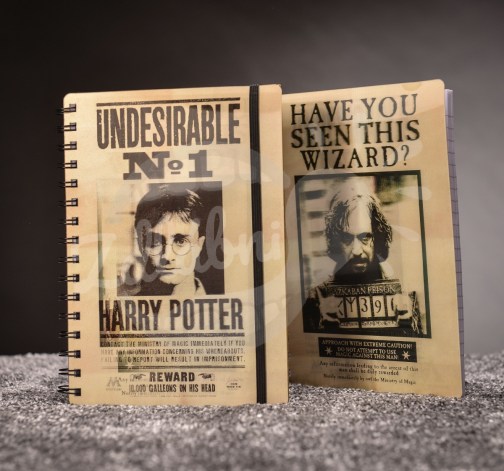 Zapísník Harry Potter s 3D deskami