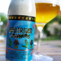 Delirium Tremens 0,33 BEL