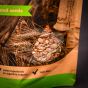 Body Cleanse Muesli.jpg